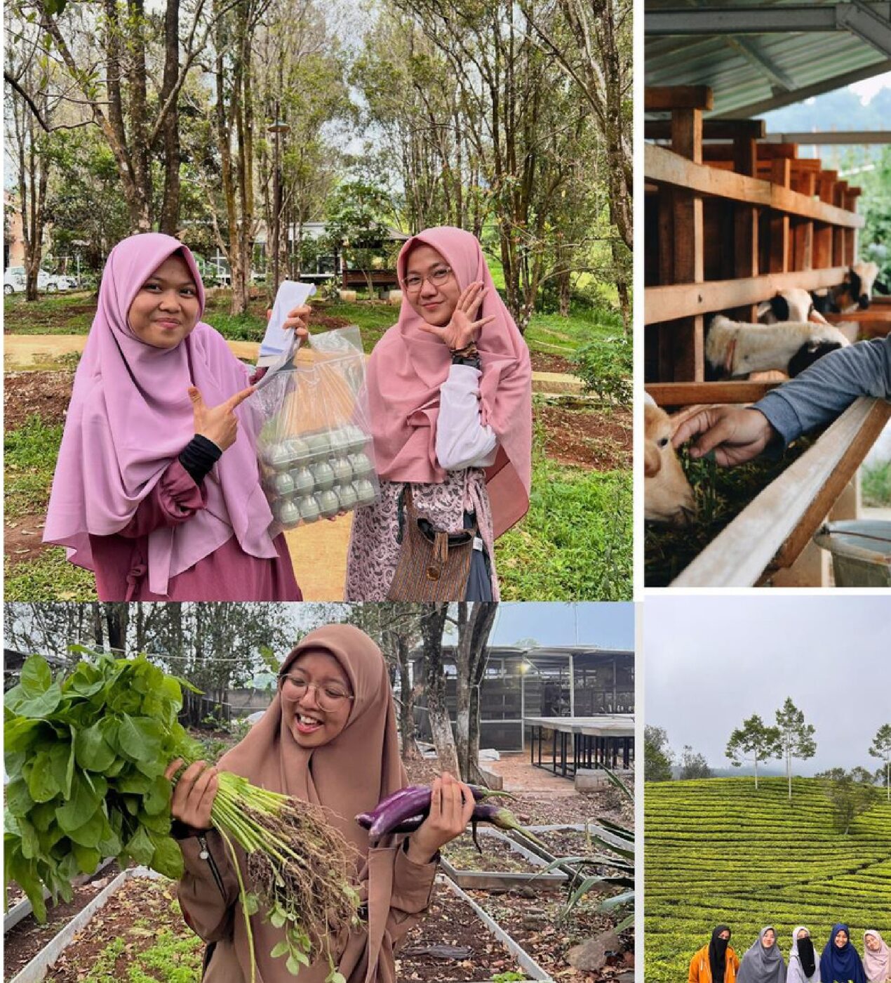 Beasiswa dan Dampak Sosial